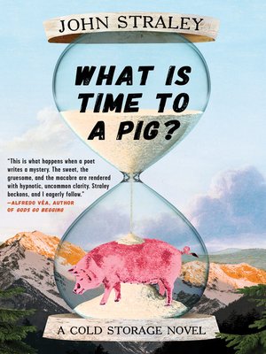 cover image of What Is Time to a Pig?